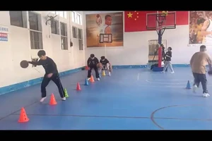 篮球足球排球皮球的照片分别是什么样子的?